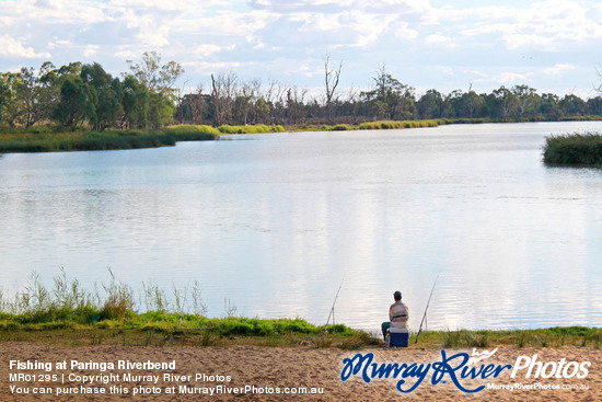 Fishing at Paringa Riverbend