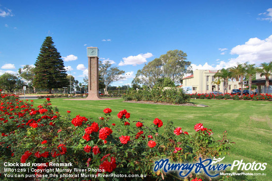 Clock and roses, Renmark