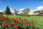 Clock and roses, Renmark