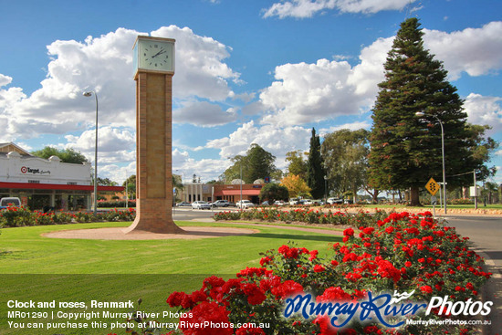 Clock and roses, Renmark