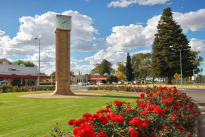 Clock and roses, Renmark