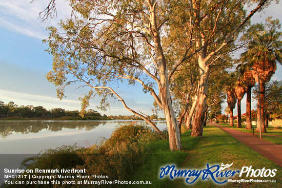 Sunrise on Renmark riverfront