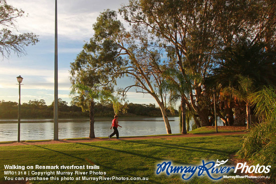 Walking on Renmark riverfront trails