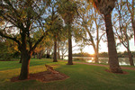 Sunrise on Renmark riverfront