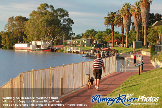 Walking on Renmark riverfront trails