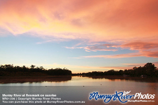 Murray River at Renmark on sunrise