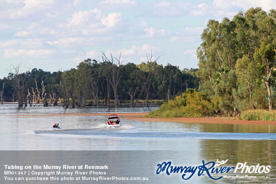 Tubing on the Murray River at Renmark