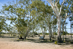 Big Desert State Forest, Victoria