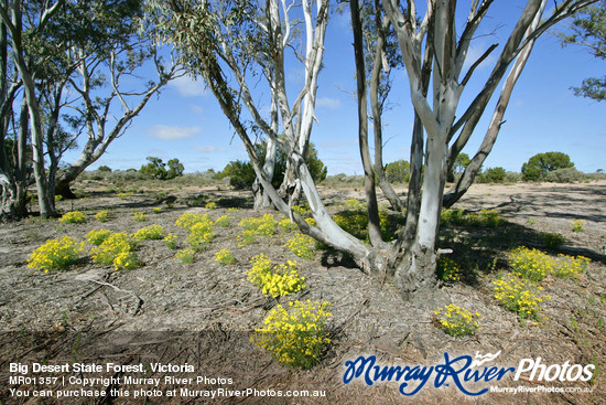 Big Desert Victoria