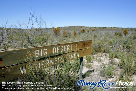 Big Desert State Forest, Victoria