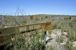 Big Desert State Forest, Victoria