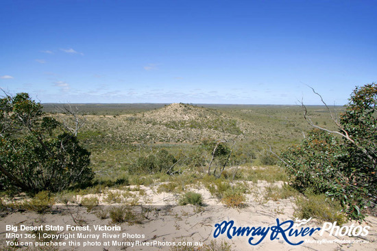 Big Desert State Forest, Victoria