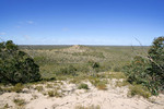 Big Desert State Forest, Victoria