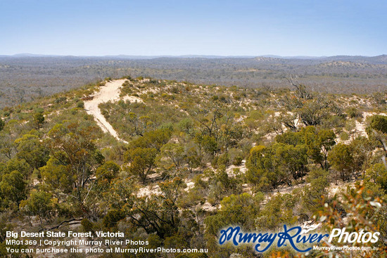 Big Desert State Forest, Victoria