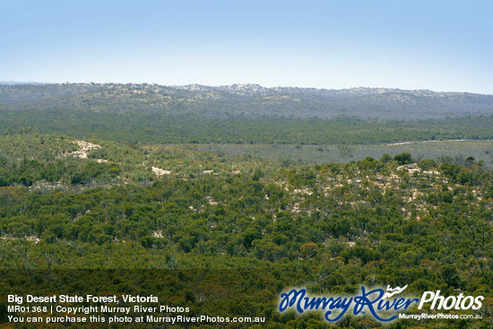 Big Desert State Forest, Victoria