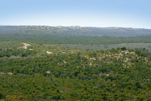 Big Desert State Forest, Victoria