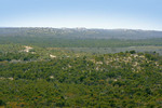 Big Desert State Forest, Victoria