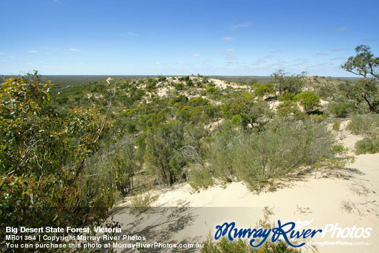 Big Desert State Forest, Victoria