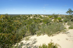 Big Desert State Forest, Victoria