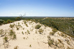 Big Desert State Forest, Victoria