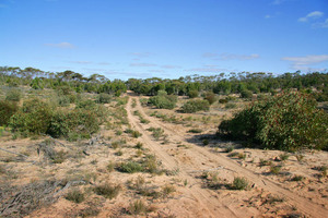 Big Desert State Forest, Victoria