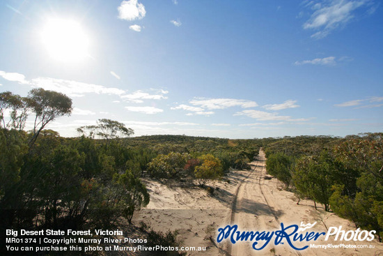 Big Desert State Forest, Victoria