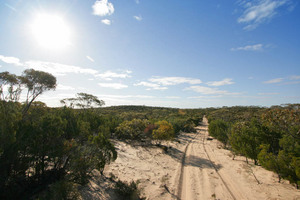 Big Desert State Forest, Victoria