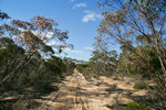 Big Desert State Forest, Victoria