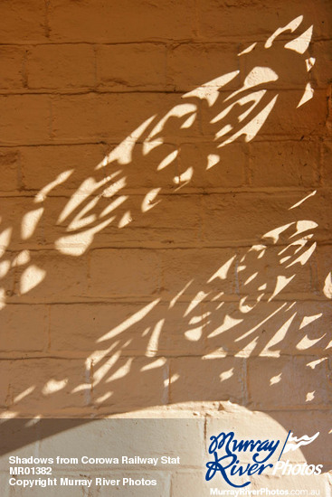 Shadows from Corowa Railway Station