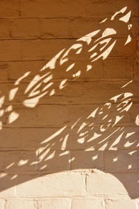 Shadows from Corowa Railway Station