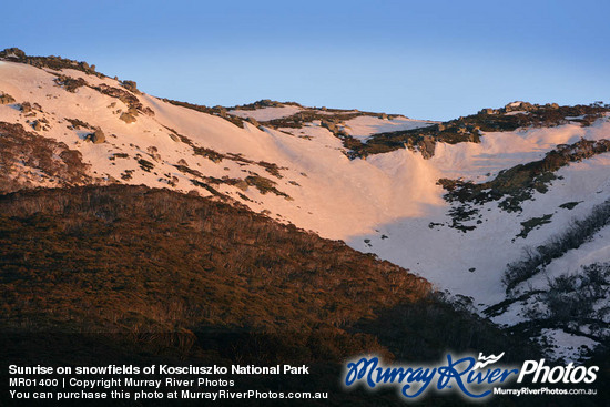 Sunrise on snowfields of Kosciuszko National Park