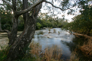 Tom Groggin, Kosciuszko National Park