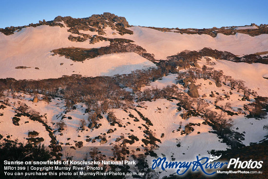 Sunrise on snowfields of Kosciuszko National Park