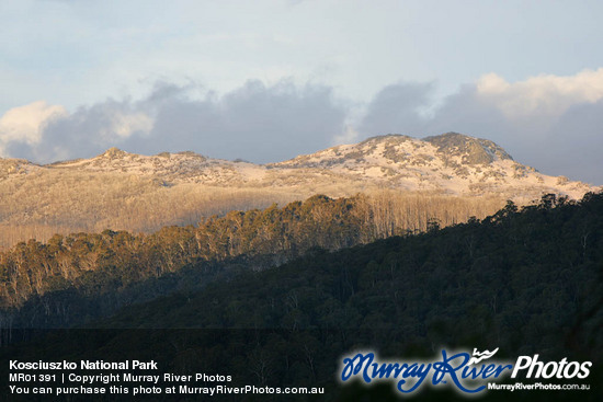 Kosciuszko National Park