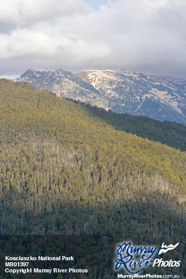 Kosciuszko National Park