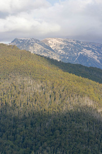 Kosciuszko National Park