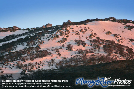 Sunrise on snowfields of Kosciuszko National Park