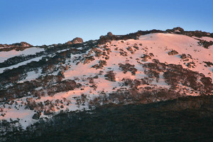 Sunrise on snowfields of Kosciuszko National Park