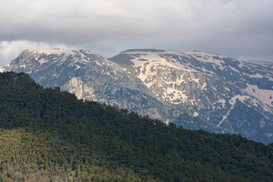 Kosciuszko National Park