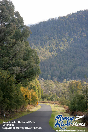 Kosciuszko National Park