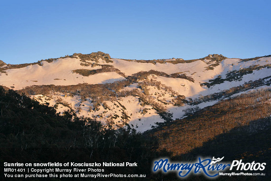 Sunrise on snowfields of Kosciuszko National Park