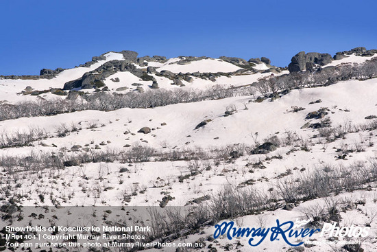 Snowfields of Kosciuszko National Park