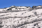 Snowfields of Kosciuszko National Park