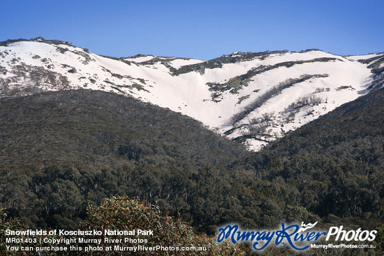 Snowfields of Kosciuszko National Park