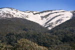 Snowfields of Kosciuszko National Park