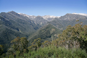 Kosciuszko National Park