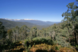 Western slopes of Kosciuszko National Park