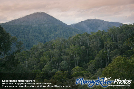 Kosciuszko National Park