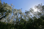 Kosciuszko National Park