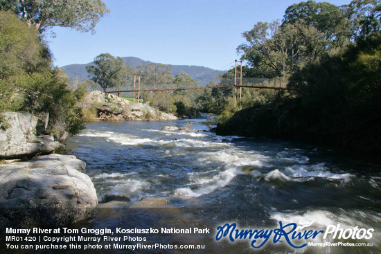 Murray River at Tom Groggin, Kosciuszko National Park